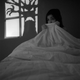 Illustration for article titled 103 Shapely Shadows